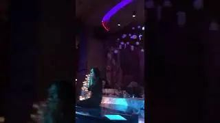 Мой Др 2019. The Waiters
