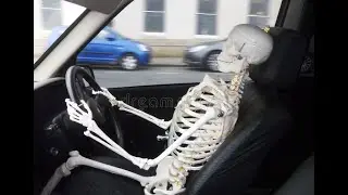 Bone Drive a Car