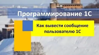 Как вывести сообщение пользователю 1С