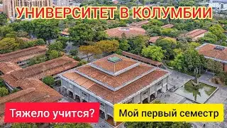 МОИ ОЦЕНКИ за первый СЕМЕСТР в университете в КОЛУМБИИ | ПОЧЕМУ У МЕНЯ СГОРЕЛА Ж*ПА ОТ УЧИЛКИ?