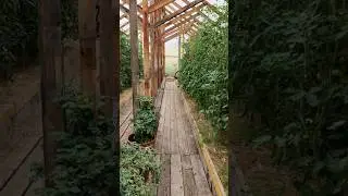 ЗАКРЫВАТЬ ЛИ ТЕПЛИЦУ?