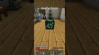 I finally found it! - Vault Hunters 1.18