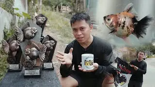FV VLOG #113:  SHOUT OUT + FISH UPDATE + BAD BLOOD PRIZES