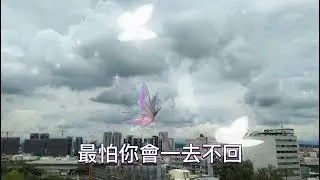 雨蝶 ChelyS