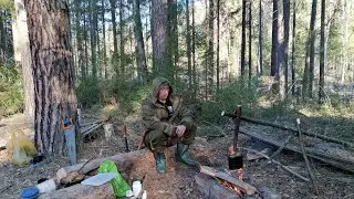 Поход на бобровое озеро, а где же бобры?