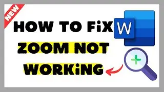 How to Fix Zoom Not Working in Microsoft Word (2025 Easy Fix)