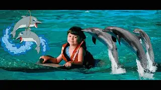 Дельфинарий Челлендж: Алиса и Дельфины🐬🐬🐬🐬🐬