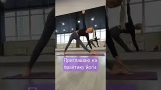 #yogaonline #йогадома #йогаонлайн #хатхайога #yoga