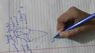 Point angle,line angle and crown root division