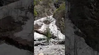 Una gita nella Natura