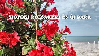Siófoki rózsakert és az új park - A kikötőtől a nagystrandig