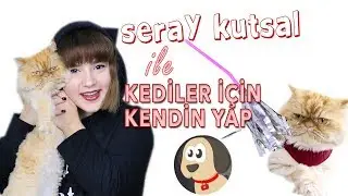 Pratik Kediler İçin Kendin Yap Projeleri! (DIY) | Seray Kutsal