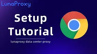How does Chrome set the proxy? Lunaproxy data center proxy setting steps, chrome proxy extension