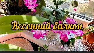 весенний балкон