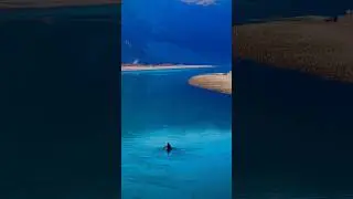 Reliable Facts | Adventure Video #music #beach #travel #summer #sunset #nocopyrightmusi