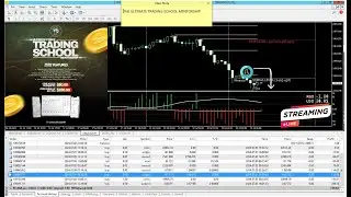 AMD Weekly Markets Review & Mentorship