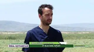 BURHAN HOCA İLE İDEAL HAYVANCILIK - OT SİLAJI NASIL YAPILIR VE NASIL ÖRTÜLÜR