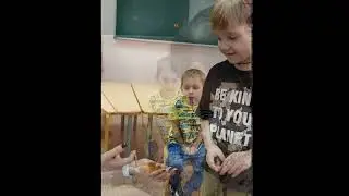Неделя профессий. Заведующий