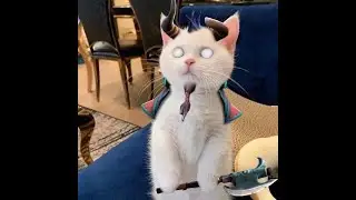 ДОТА 2 ?!?!