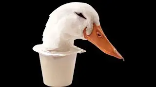 Spancore and Captain's ASMR: Duck Pudding