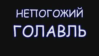 Ловля голавля в дождь