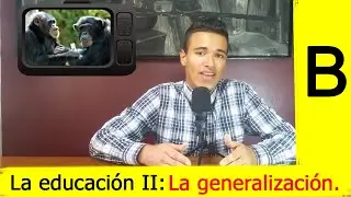 #BajoElMismoCuento / La educación II: Generalización.