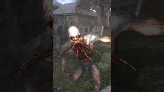 ☢️ Bloodsucker Feels Pain! Old STALKER Surprised Me 