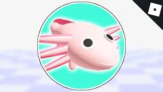 How to get the AXOLOTL BADGE in FIND THE ANIMALS | Roblox