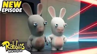 Rabbids in the maze (S04E27) | RABBIDS INVASION | New episodes | Cartoon for Kids