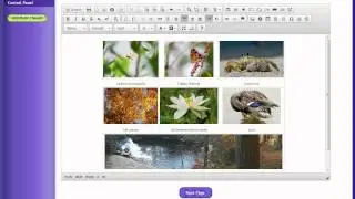 SiteSkins: Using Tables in Text Editor (pt.3)