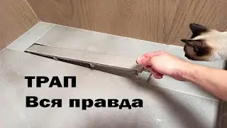 Трап для душа. Такого вы не видели. Отзыв