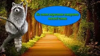 Як єнот перестав говорити погані слова