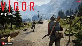 Vigor/ Стрим
