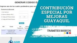 ¿Cómo pagar la tasa de Contribución Especial de Mejoras del Municipio de Guayaquil?