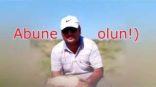 SALYAN KURSENGI KARP !  BALIK OVU!