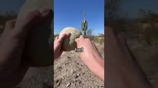 Living on $10 in Phoenix, Arizona