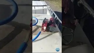 Una Visita a Nuestra Granja Demostrativa de Producción donde trabajamos con Acuicultura Simbiótica.