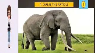 GUESS THE ARTICLE - GRAMMAR