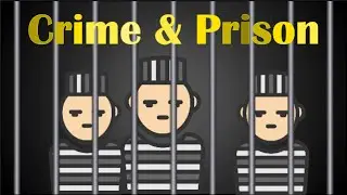 The US Prison System