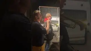 Les honneurs funèbres du Kevin #RIP