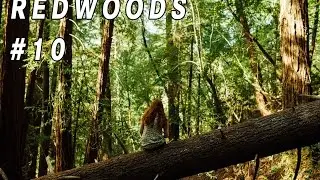 malanders reist | westcoast roadtrip 010 - Armstrong Redwoods