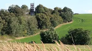 Rozhledna na Šibeničním vrchu | Horšovský Týn