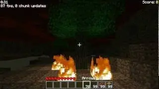 Minecraft fire test