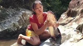 Wow Big Fish!! catching and cooking fish for jungle yummy food @RinaAdventureAllTime