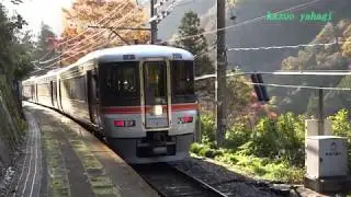 飯田線 秘境駅号が走る 2019年11月17日