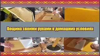 Вощина своими руками в домашних условиях