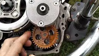 Viper ZS125J.