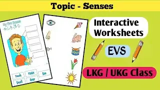 EVS worksheets for UKG | Daily practice worksheets for kindergarten