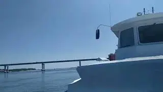 Волгоград. 19.06.2023 Круиз по Волге .