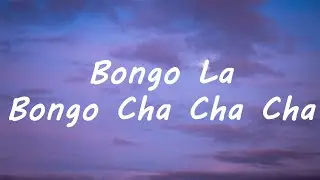 Bongo Cha Cha Cha (Lyrics) - Caterina Valente - Bongo La Bongo Cha Cha Cha  [Tiktok Song]